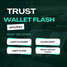 Flash USDT Software Download